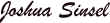wpe1.jpg (1357 bytes)